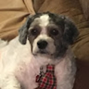 Meet your Posher, Mary ann